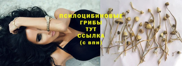 мефедрон Корсаков