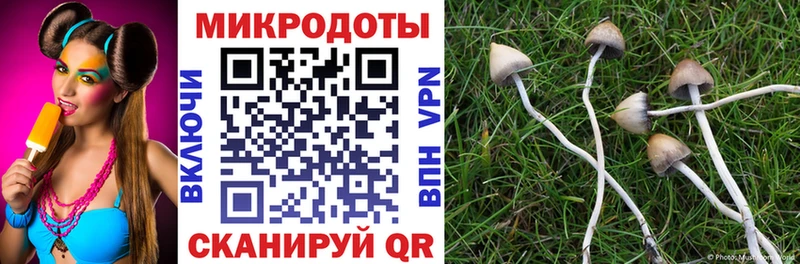 купить   Нестеров  гидра зеркало  Псилоцибиновые грибы мухоморы 